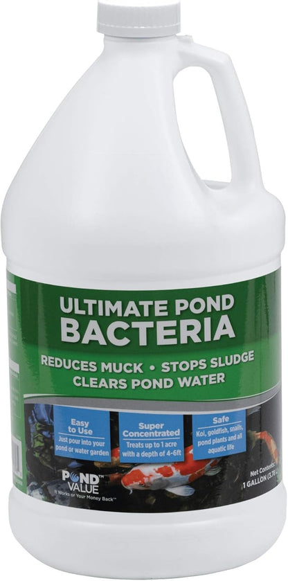 PondValue Ultimate Pond Bacteria, Outdoor Pond & Lake Natural Beneficial Bacteria Treatment, Aquatic Odor Reducer & Sludge Digester, Fish, Plant, & Livestock Safe, Easy Dosing Liquid, 1 Gallon Bottle