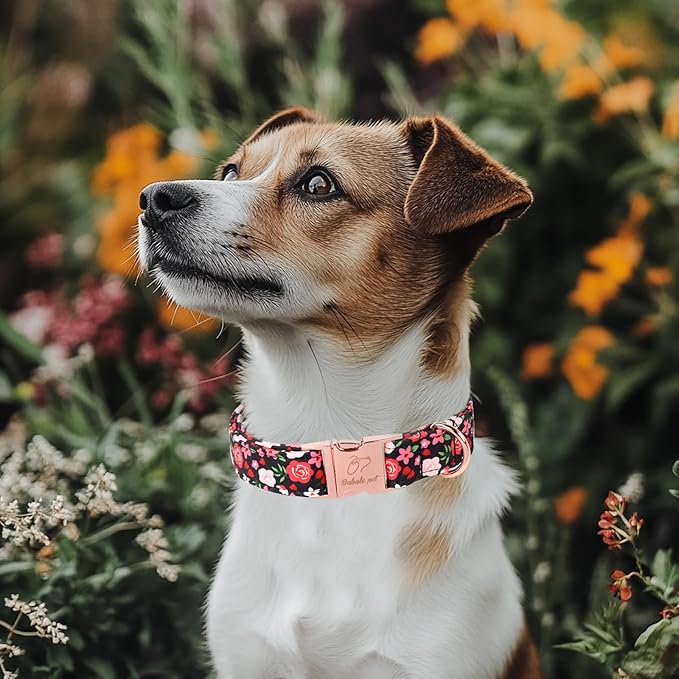 Floral Dog Collar - Rose Red Wild Flowers Pattern Cute Puppy Collar, Adjustable Winter Holiday Metal Buckle Dog Collars for Small Medium Large Dogs M
