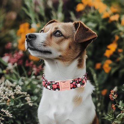Floral Dog Collar - Rose Red Wild Flowers Pattern Cute Puppy Collar, Adjustable Winter Holiday Metal Buckle Dog Collars for Small Medium Large Dogs M