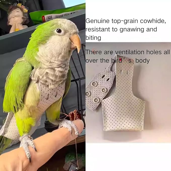 Premium Genuine Cowhide Bird Flight Harness Anti Bite Breathable Parrot Diaper Parrot Suit with Leash for Parakeet Conure Quaker Flying Clothes Rope and Handle (Without Leash,Pigeon)