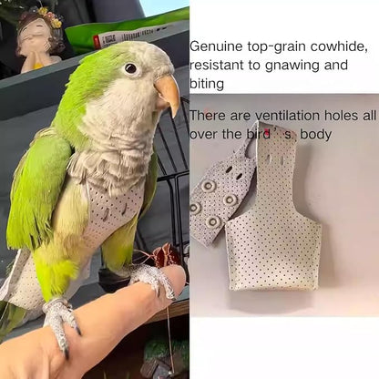 Premium Genuine Cowhide Bird Flight Harness Anti Bite Breathable Parrot Diaper Parrot Suit with Leash for Parakeet Conure Quaker Flying Clothes Rope and Handle (with Leash,Large)