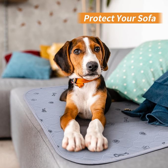 Washable Pee Pads for Dogs, Absorbent, Non-Slip, 2 Pack 36x41 Puppy Pads | Reusable, Non-Slip Whelping Pads Dog Mats with Bone Print for Floor Protector, Couch Cover, Crate, Potty Training,Senior Dog
