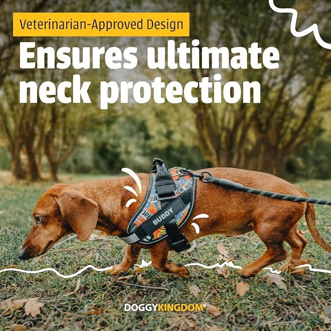 Personalized Dog Harness with Custom Name Patches, Adjustable Reflective No Choke Dog Vest with Handle for Large Dogs, Orange, L