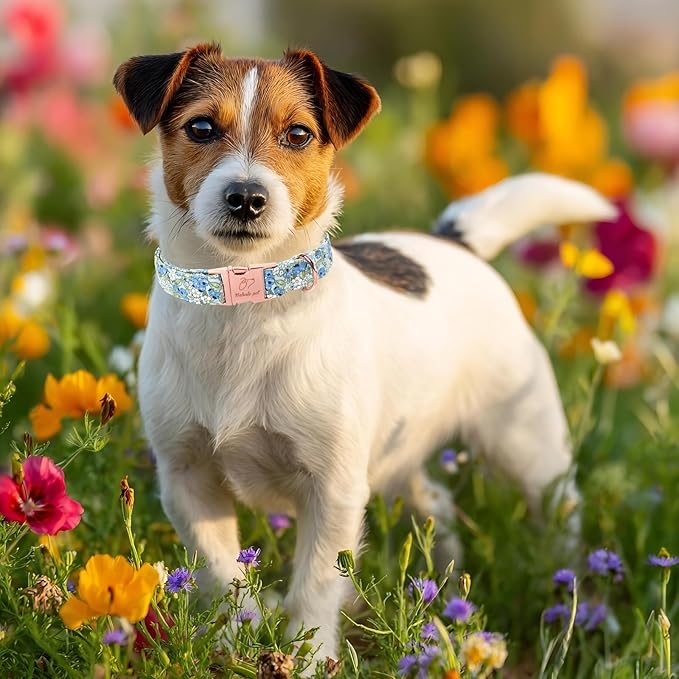 Blueberry Garden Dog Collar, Spring/Summer Cottagecore Floral Dog Collars, Adjustable Heavy Duty Girl Dogs Collar for Small Medium Large Dogs with Metal Buckle XL