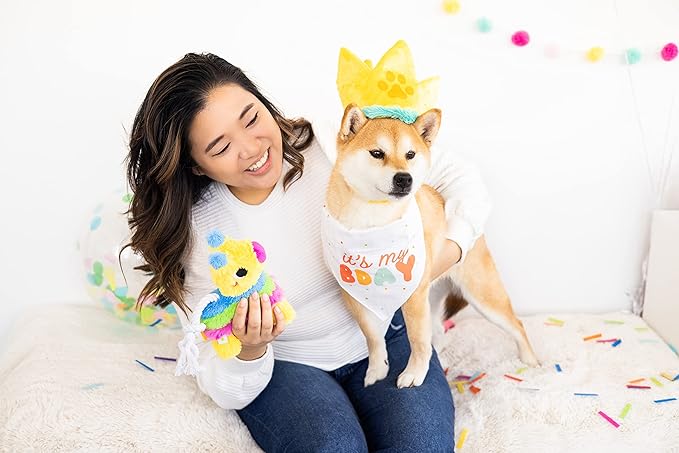 Pearhead Puppy Pinata Dog Toy, Rope Tug Toy for Dogs, Colorful Interactive Dog Toys, Party Pinata Toy for Dogs, Plush Chew Toy, Pet Owner Must Have Toy