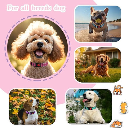 2 Pack Reflective Dog Collars for Medium Large and Small Breed Dogs Male Female,Padded Soft Durable Nylon Neoprene Collar for Puppy Dogs Girl Boy with Quick Release Safety Buckle,Pink,Purple,S