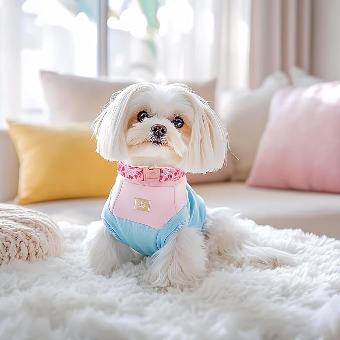 Strawberry Bow Dog Collar, Spring/Summer Pink Girl Dog Collars, Adjustable Heavy Duty Girly Female Dogs Collars for Small Medium Large Dogs with Metal Buckle S