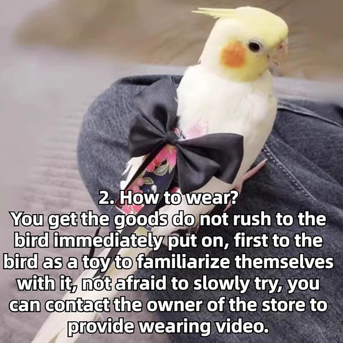 Bird Diaper Parrot Washable Diapers, Parrot Flight Suit, Reusable Nappies for Parakeet Cockatiel Mini Macaw Budgie Conure Lovebird (Beige,L)
