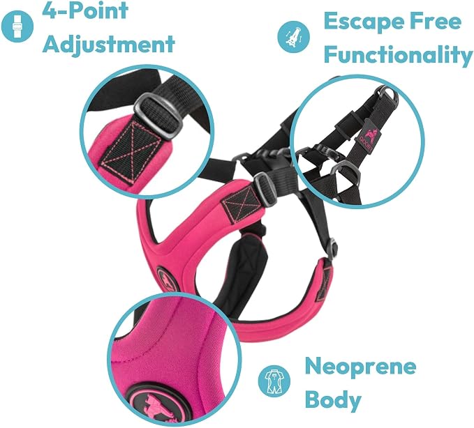 Gooby Escape Free Sport Dog Harness, Choke-Free, Turquoise, Medium | Patented escape-free frame; Reduces choking; 4-point adjustment; Soft neoprene padding; Durable webbed straps