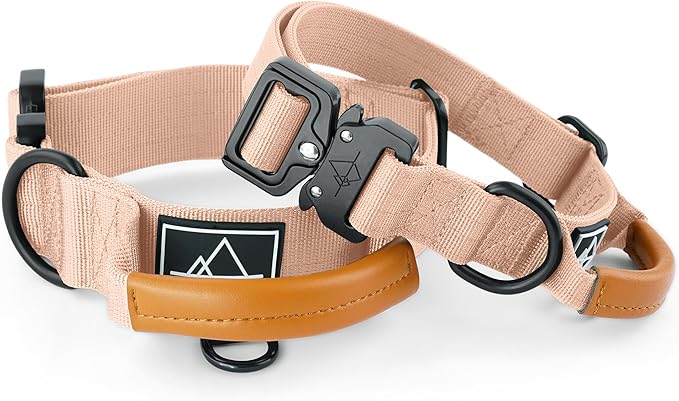 Made to ROAM Premium Explorer Control Collar - Adjustable Heavy Duty Nylon Dog Collar with Quick-Release Metal Buckle and Handle (Carolina Blooms, Control Size 3)
