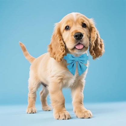 Maca Bates Sky Blue Dog Collar with Cute Solid Sailor Bow Tie for Extra Small Girl Boy Dogs,Adjustbale Durable Breakaway Soft Collars with Bowtie for Female Male Puppy,Pet with Metal Buckle