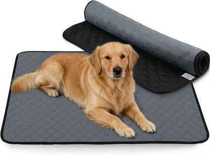 Washable & Reusable Pee Pads for Dogs, 2 Pack, 40 x 40 Inch | Super Absorbent, Waterproof TPU, Machine Washable & Reusable, Non-Slip Bottom, Floor Protection