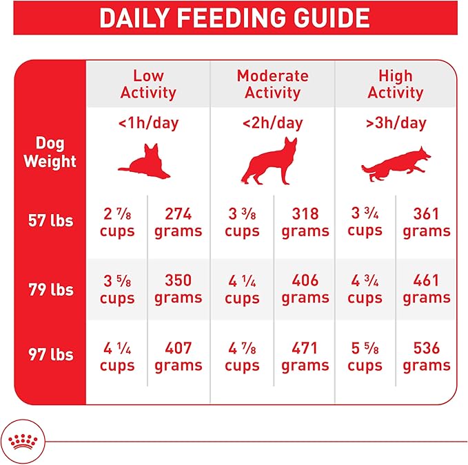 Royal Canin Size Health Nutrition Large Adult Dry Dog Food, 30 lb Bag