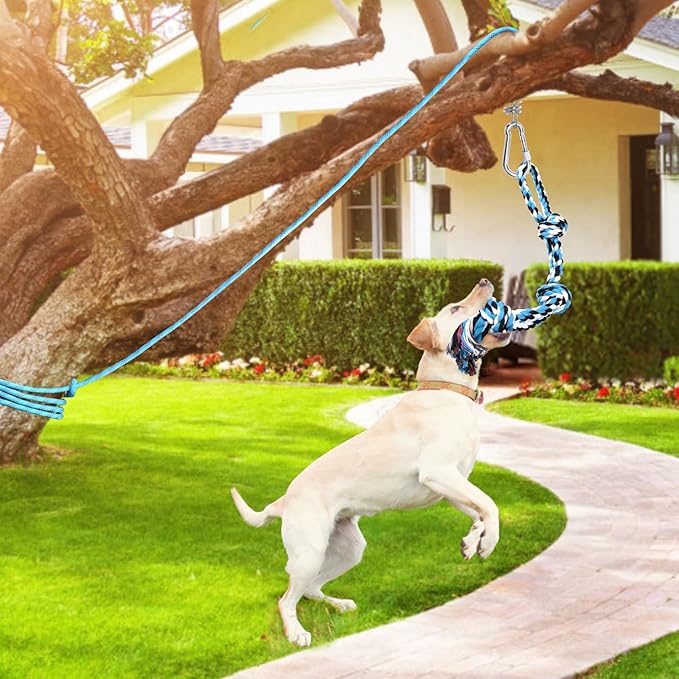 LOOBANI Spring Pole Toy for Pitbull: Bungee Tug of War Toys for Small Large Aggressive Chewers Dogs to Exercise & Muscle Building & Bite Training,Outdoor Heavy Duty Bungee Solo Tree Tugger Hanging Toy