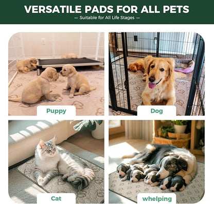 FXW Washable Pee Pads for Dogs, Puppy Pads with Super Absorbent, Specifically Designed for 42inch Cages, 27" x 41", 2 Packs