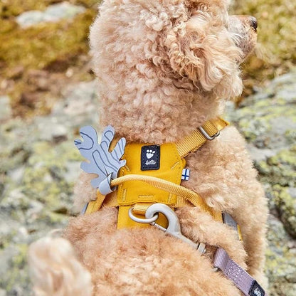 Hurtta Seeker Harness, Honey, 22-28 in