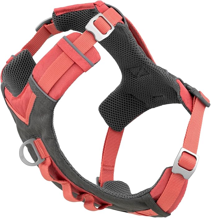 Kurgo Journey Air Dog Harness, Coral, Medium | Padded Chest, Ripstop Outer & Breathable Mesh, Back Assist Handle, Rust-Free Aluminum Hardware, Reflective Trim