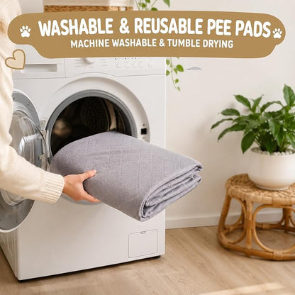 CoolShields Washable Pee Pads for Dogs, 36'' x 36'', Grey, 4 Pack | Ultra-Absorbent Reusable Waterproof Puppy Pad for Crates, Playpens, Carpets, and Floors—Ideal for Dogs, Cats, and Small Pets