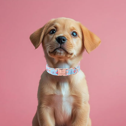 Valentines Dog Collar for Large Dogs - Cute Blue Heart Pattern Puppy Collar Sweet Valentine Adjustable Heavy Duty Pet Collar with Metal Buckle XL
