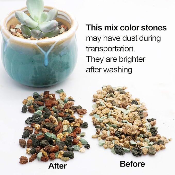 TOYPOPOR Mix Horticultural Lava Rock Pebbles Pumice Potting Soil Amendment Succulent Cactus Bonsai Gritty Rock Decorative Gravel Plant Drainage Volcanic for Terrarium Fairy Gardening Top Dressing 6lb