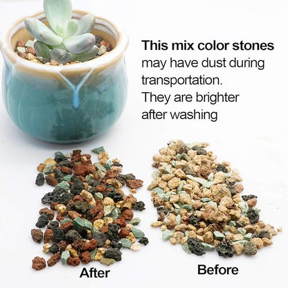 TOYPOPOR Mix Horticultural Lava Rock Pebbles Pumice Potting Soil Amendment Succulent Cactus Bonsai Gritty Rock Decorative Gravel Plant Drainage Volcanic for Terrarium Fairy Gardening Top Dressing 6lb