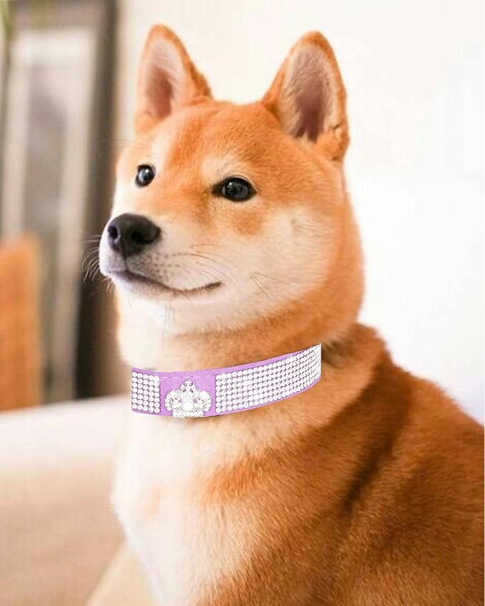 Bling Dog Collar for Small Medium Large Dogs, Crown Rhinestone Dog Collars for Girl and boy Dog, Diamond Puppy Collars, Adjustable Leather Suede SOFE Cat Collar (M(13"-15.4"/33CM-39CM), Purple)