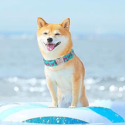 Summer Dog Collar, Cool Flamingo Float Pet Collar with Metal Buckel, Durable Adjustable Designer Dog Collars for Small Medium Large Dogs XS