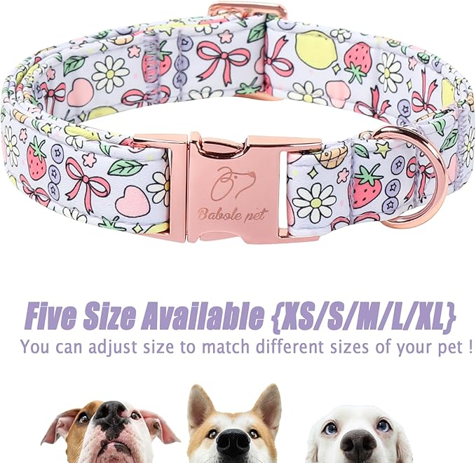Cute Dog Collar, Spring Summer Pastel Dog Collars, Fruit Garden Dream Puppy Collar, Adjustable Heavy Duty Pet Collar for Small Medium Large Dogs with Metal Buckle XS