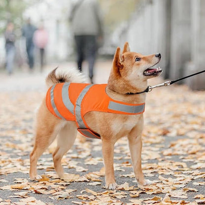 Kuoser Reflective Dog Vest, High Visibility Safety Vest for Medium to Large Dogs, Lightweight Pet Reflective Vests for Hunting Outdoor Activities Walking at Night, Blaze Orange 2XL