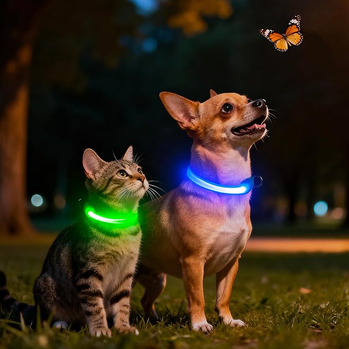 Light up Collar for Small Dog,Vizpet XS Adjustable Size Nylon Collar USB Rechargeable Bright Safety Pet Collar for Cats Small Dogs (Blue, X-Small[ 8.66-11.9 inch/22cm-30cm])