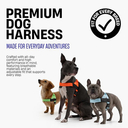 Dog Friendly Co. Dog Harness for Large Breeds (Green Camo, Extra Large) | One Click Buckle, Chafe Resistant Webbing, Adjustable Neck & Chest, and Heavy Duty D-Ring, Sturdy Comfortable and Easy to Use