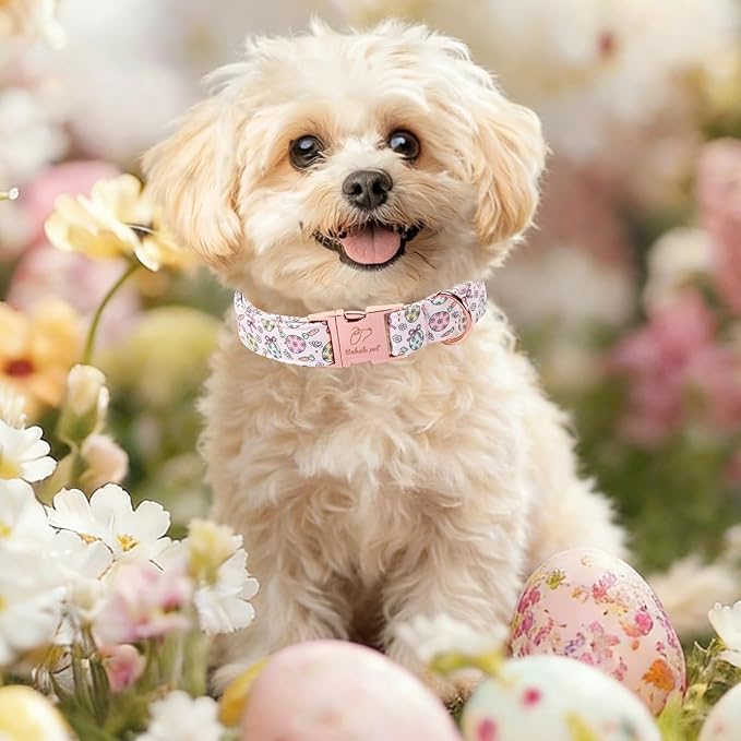 Easter Dog Collar, Pastel Floral Egg Easter Collars for Large Dogs, Cute Girly Spring Holiday Dog Collars, Adjustable Heavy Duty Female Pet Collar with Metal Buckle L