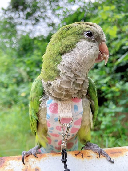 Bird Diaper Harness Flight Suit Clothes, Parrot Flight Suit with Leash, Bird Flying Clothes with Rope and Handle for Outdoor Activities Training (Pink Without Leash,Medium)