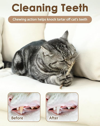 Tocirelo Cat Toys Silvervine Sticks - 10Pack Natural Catnip Toys for Indoor Cats, Catmint Silvervine Blend Kitten Chew Sticks, Matatabi Cat Dental Care Treats for Teeth Cleaning, Kitten Teething Toy