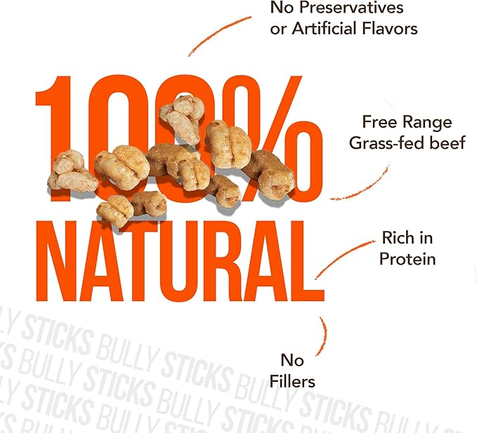 FOODIEPAWS Bully Pop, 8 oz – All-Natural, High Protein Chews for Dogs – Fully Digestible & Grain-Free – Supports Dental Health & Chewing Satisfaction