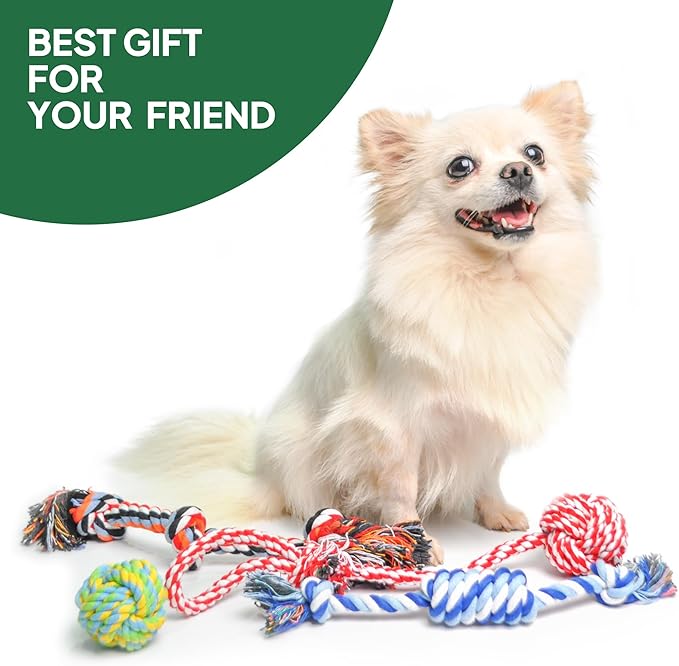 TwoEar Dog Rope Toy 4 Pack - Puppy Teething Toys for Small Breed - Indestructible Dog Chew Toys for Aggressive Chewers - Cotton Tug of War Dog Toys for Boredom, Teeth Clean