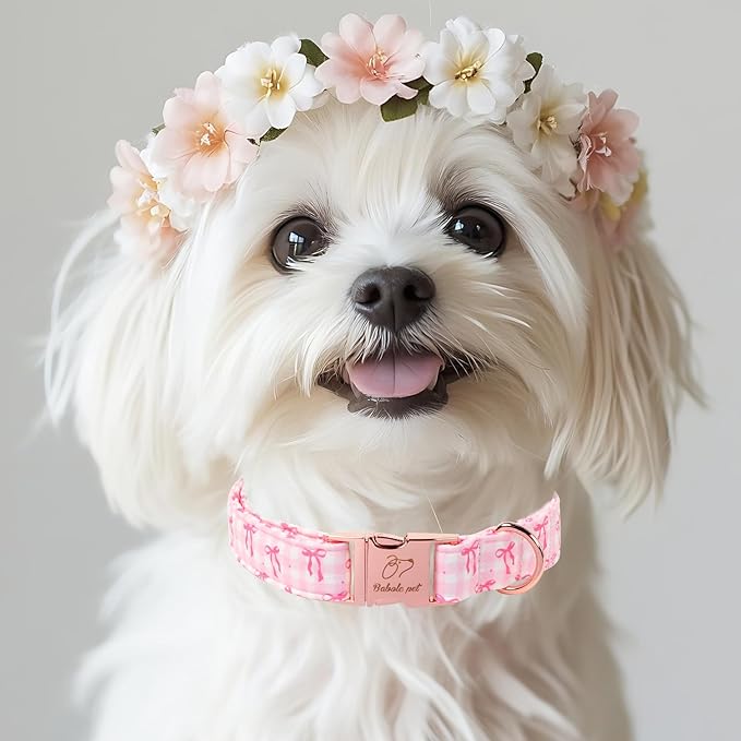 Girl Dog Collar, Sweetheart Girly Pink Bow Dog Collars, Adjustable Heavy Duty Spring/Summer Female Dogs Collar for Small Medium Large Dogs with Metal Buckle M
