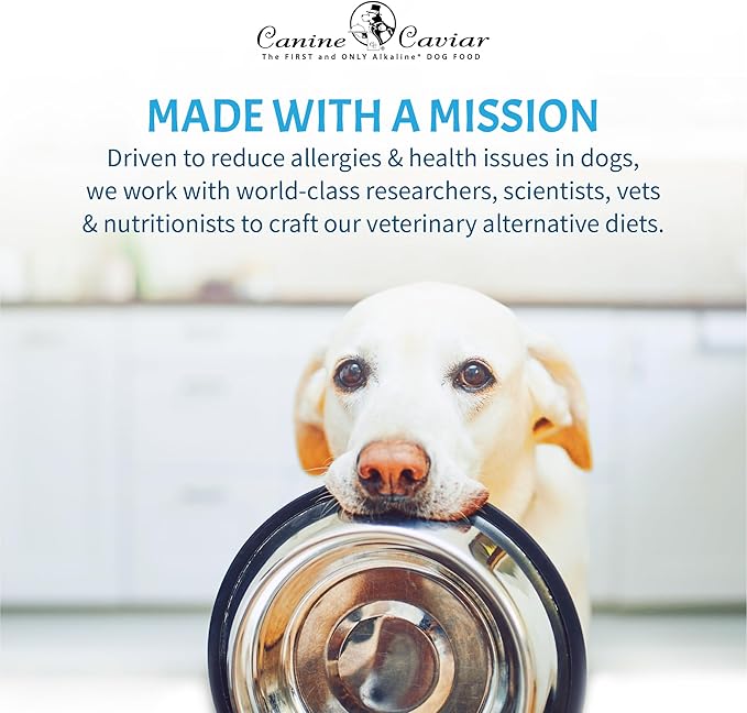 Canine Caviar - Open Meadow: Lamb & Pearl Millet Alkaline Dry Dog Food, Limited Ingredients, Gluten-Free, Based on Science & Research, Veterinary Alternative Diet (22 Pound Bag)