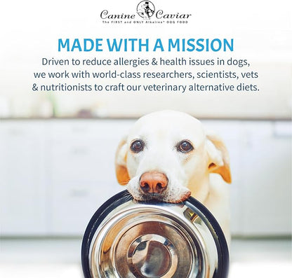 Canine Caviar - Open Meadow: Lamb & Pearl Millet Alkaline Dry Dog Food, Limited Ingredients, Gluten-Free, Based on Science & Research, Veterinary Alternative Diet (22 Pound Bag)