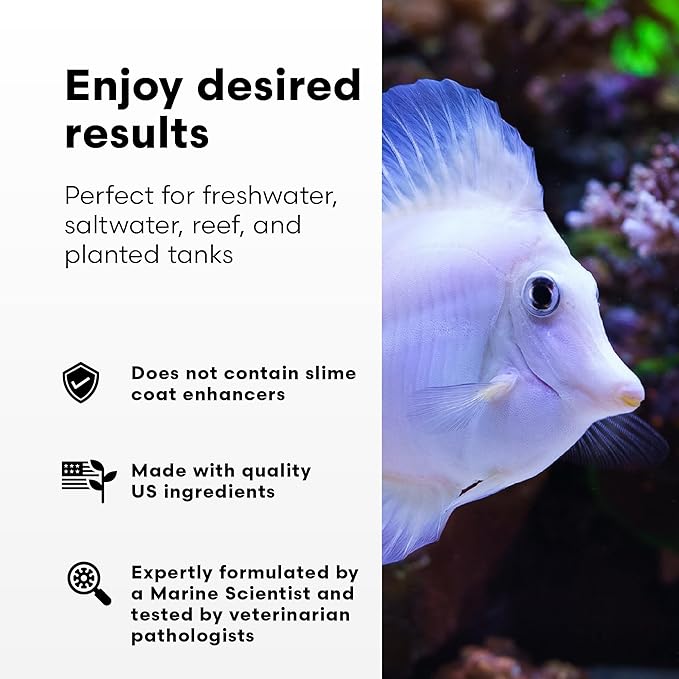 Continuum Aquatics Fraction Water Conditioner for Freshwater & Marine Aquariums – Removes Ammonia, Chlorine & Chloramines – Supports Aquarium Balance – Advanced Water Treatment, 250 ml