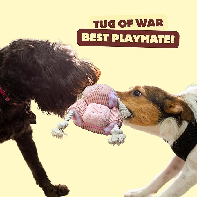 Squeaky Dog Toys, Durable Tug of War Chew Toys for Small, Medium and Large Dogs, Interactive Puppy Toy for Teeth Cleaning, Birthday Gift - Couch