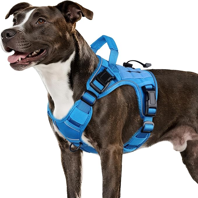 WINGOIN Blue Tactical Dog Harness for Medium Dogs, Heavy Duty No Pull Dog Harness with Handle, Adjustable Reflective Military K9 Pet Vest for Pitbull, Female, Male, Walking, Training, Hunting (M)