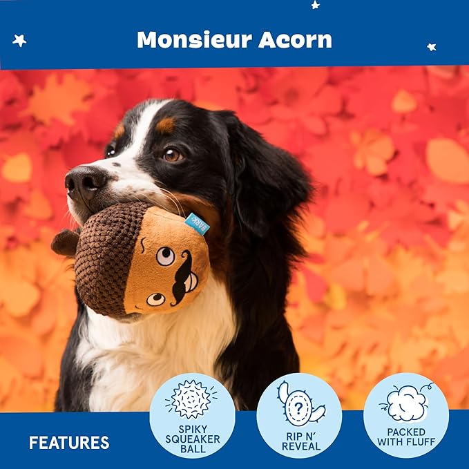 Barkbox Dog Toy 2 in 1 Interactive, Plush Exterior with Squeaker & Textured Material, Tearable Dog Toy with Squeaky Spikey Ball Inside, Ideal for Toy Destroyers - Monsieur Acorn, Large