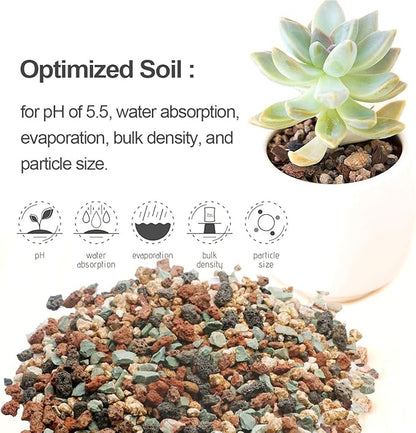 TOYPOPOR Mix Horticultural Lava Rock Pebbles Pumice Potting Soil Amendment Succulent Cactus Bonsai Gritty Rock Decorative Gravel Plant Drainage Volcanic for Terrarium Fairy Gardening Top Dressing 6lb