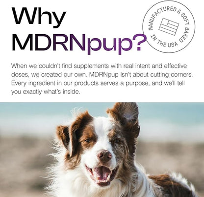 MDRNpup® Unique Dog Treats, Human Grade and All-Natural, Only Four Ingredients, High Protein - Amino Acids, Nothing Artificial, Soft Baked in The USA (13.2 Ounce, Chickpea & Pumpkin)
