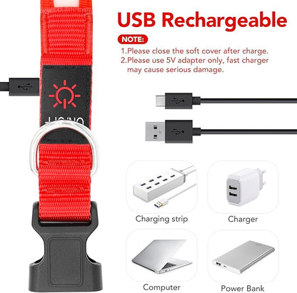 Vizpet LED Dog Collar, Light Up Dog Collar Adjustable USB Rechargeable Super Bright Safety Light Glowing Collars for Dogs(X-Large,Red)