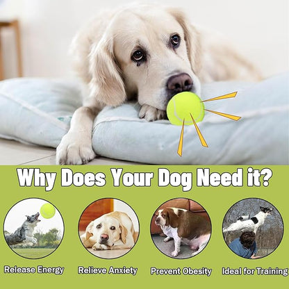 Magicorange Dog Tennis Balls,90 Pack 2.5 inch Floatable Squeaky Tennis Balls for Fetch Exercise, Natural Rubber Squeaky Dog Ball Training Safe (Multicolor, 2.5inch)