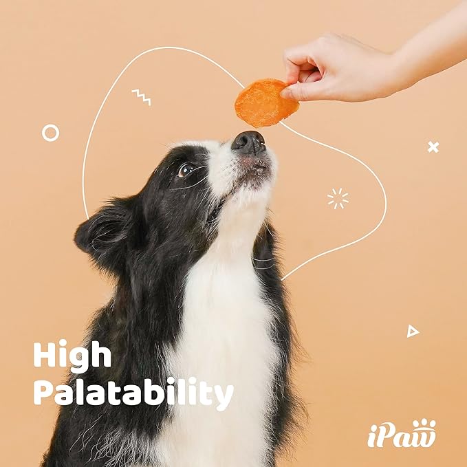 iPaw Dog Treats for Puppy Training, All Natural Human Grade Dog Treat, Hypoallergenic, Easy to Digest (Chicken Chips), 2 Packs