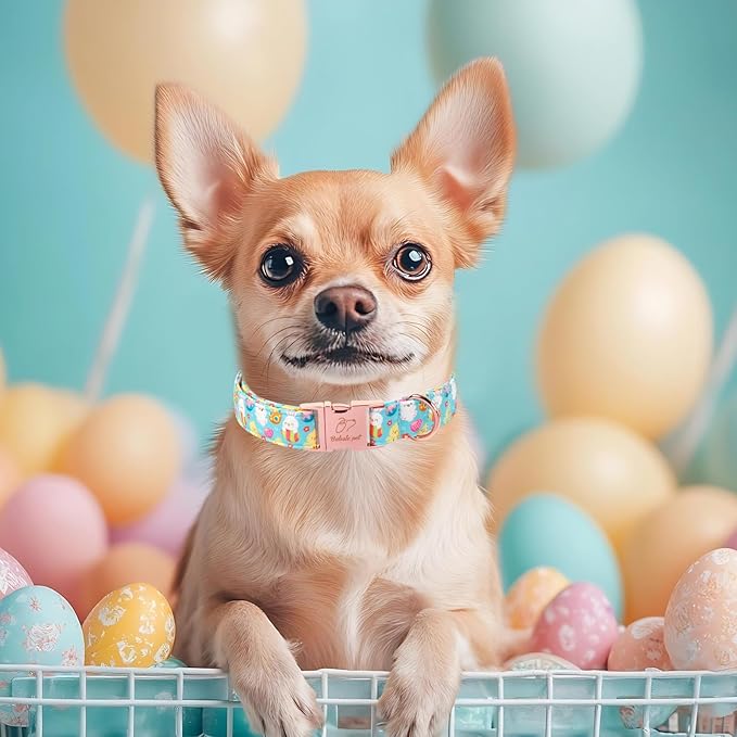 Easter Dog Collar, Cute Egg Hunt Easter Collars for Small Dogs, Playful Bunny & Chick Print, Adjustable Heavy Duty Boy Girl Spring Holiday Dog Collar with Metal Buckle S
