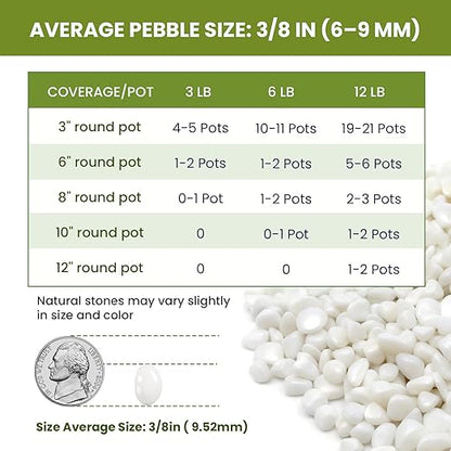 3/8 Inch Polished Decorative Pebbles, River Rocks for Indoor Plants, Succulents, Planters, Vases, Fish Tank, Aquarium Gravel & Landscaping, Snow White, 3LB